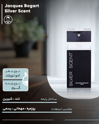 تستر ادوتویلت مردانه ژاک سیلور اینتس مدل  176