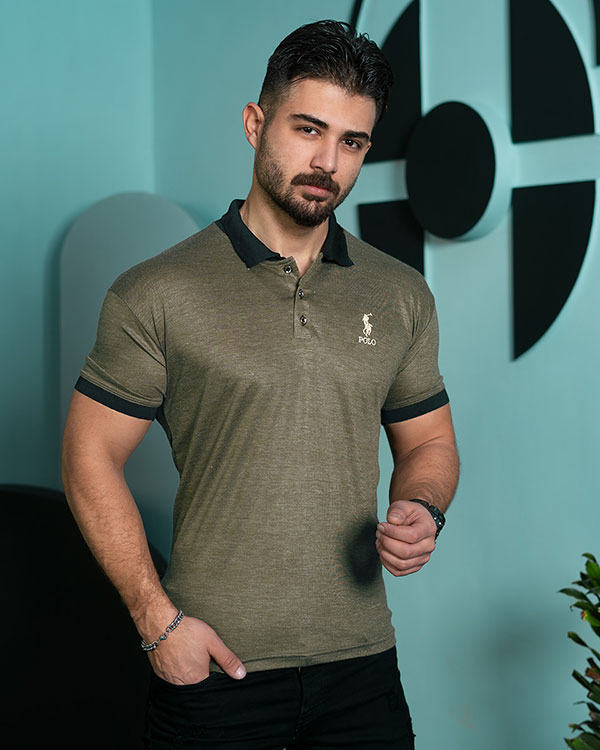تیشرت Polo  مردانه مدل kemil