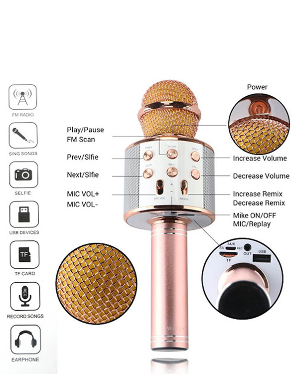 میکروفون و اسپیکر مدل WS-858