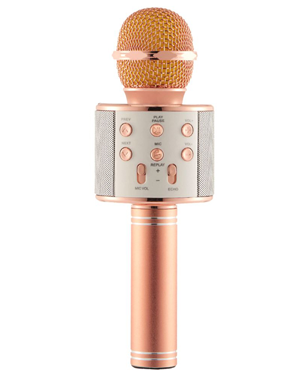 میکروفون و اسپیکر مدل WS-858