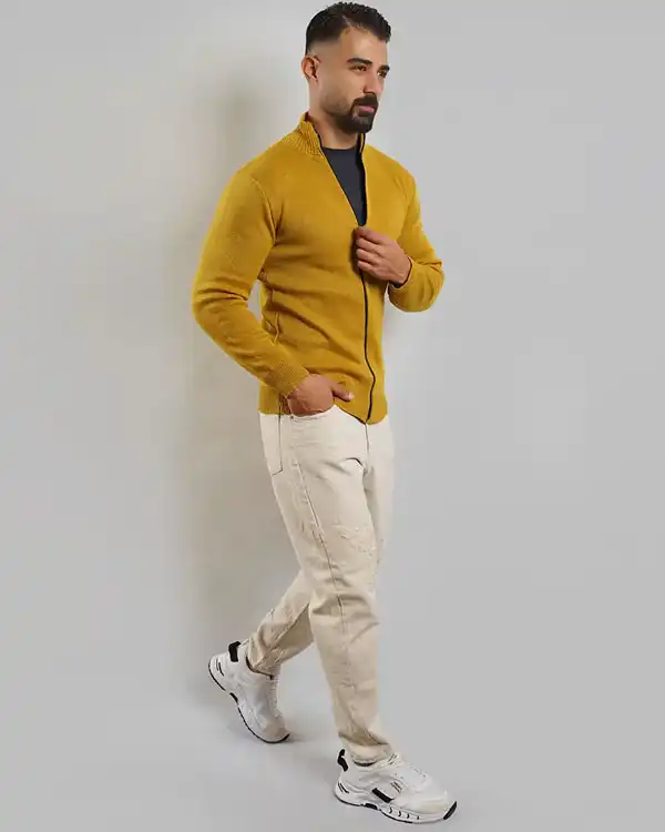 سوییشرت مردانه  مدل Meysam