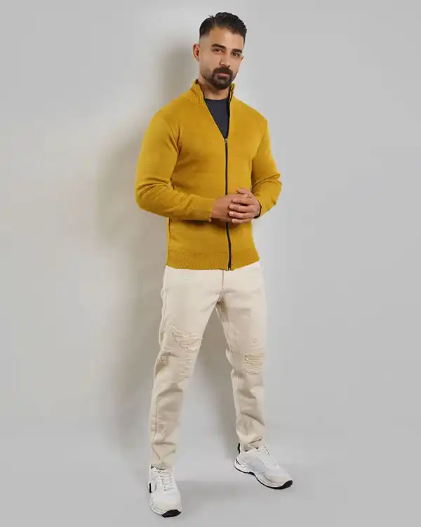سوییشرت مردانه  مدل Meysam