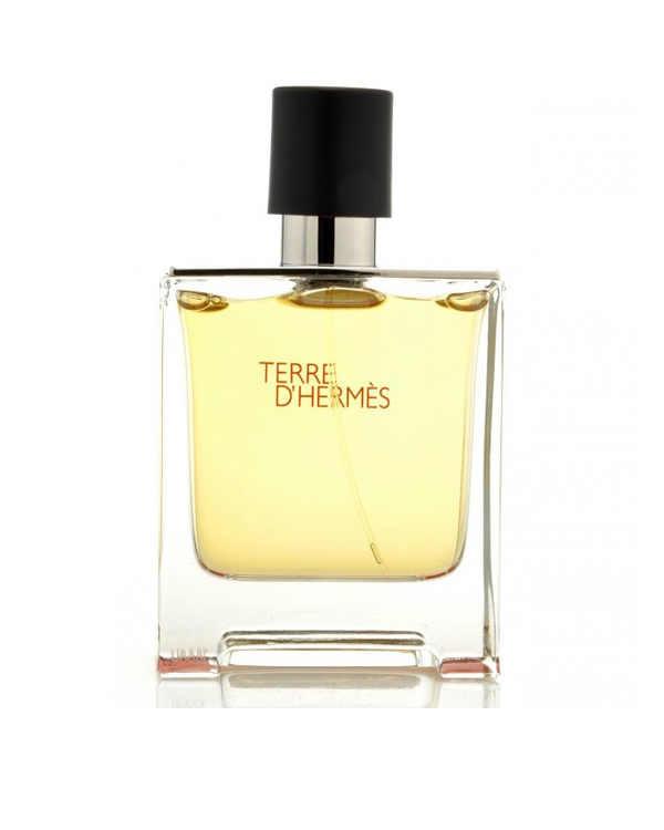 Hermes Terre dHermes for men EDP