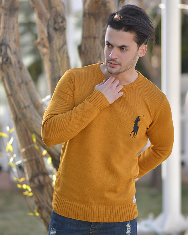 بافت مردانه طرح POLO مدل 3054