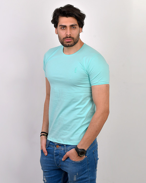 تیشرت مردانه POLO مدل 3101