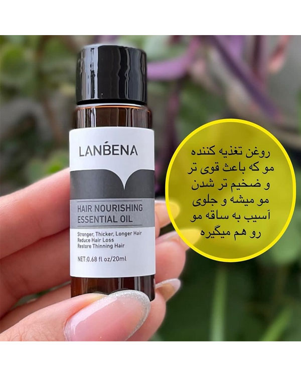 روغن رشد مو و ریش لانبنا LANBENA